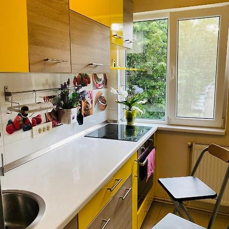 טימישוארה City Center Apartment מראה חיצוני תמונה