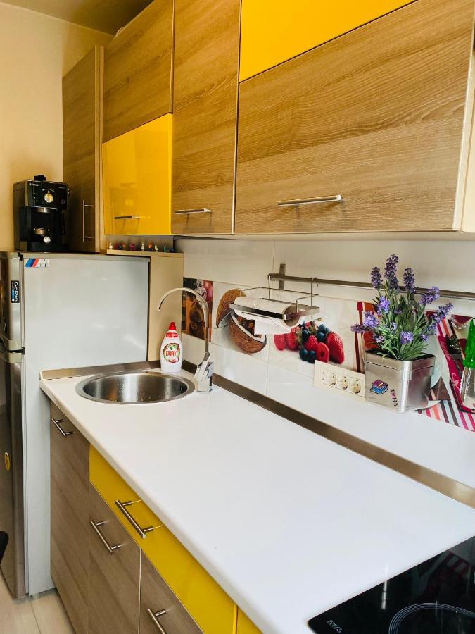 טימישוארה City Center Apartment מראה חיצוני תמונה